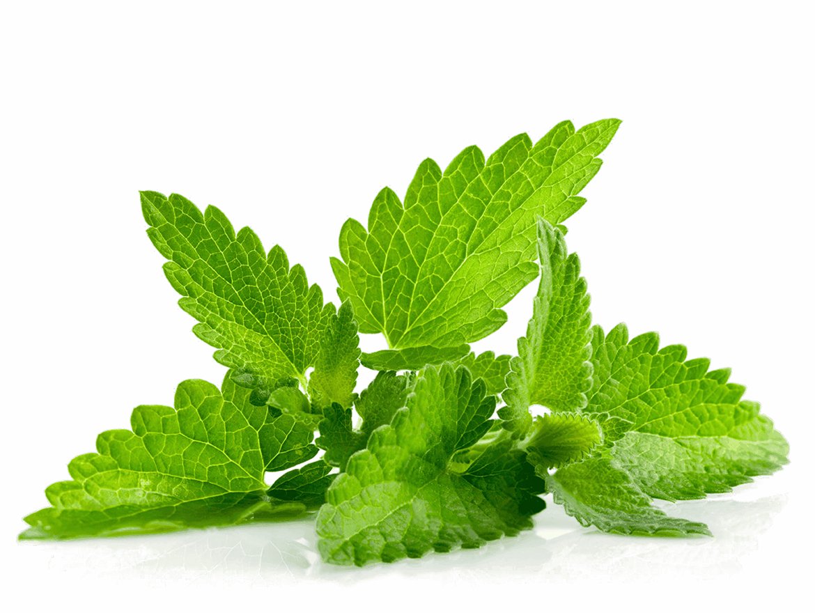 amazing caves coverimage